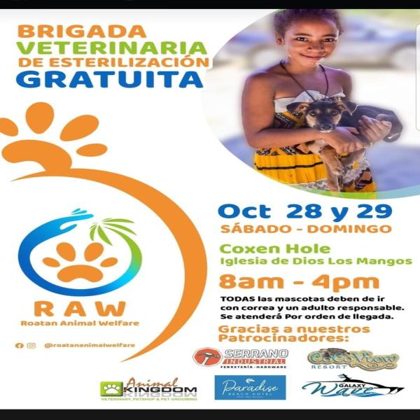 Brigada Veterinaria de Esterilización Gratuita 