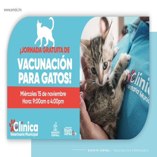 AMDC: Jornada de Vacunación gratuita para gatos 