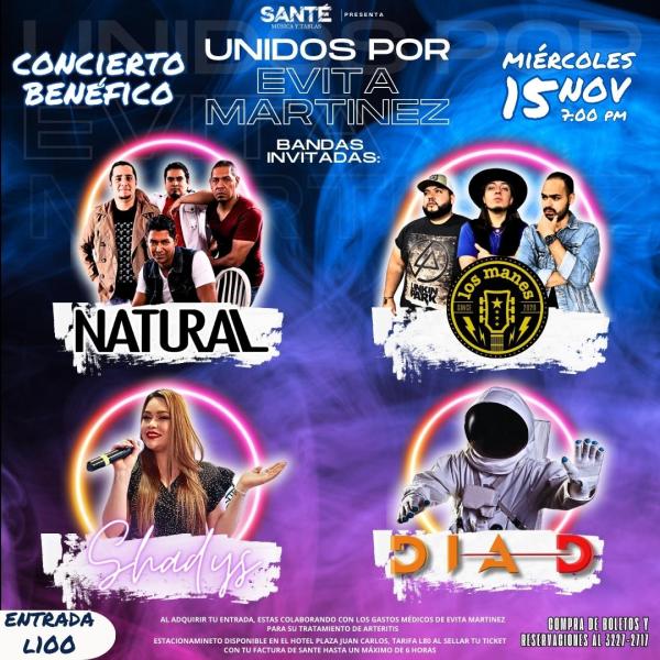 Unidos por Evita Martínez