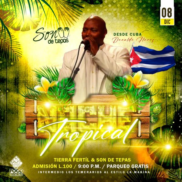 Concierto Tropical de Fin de Año 