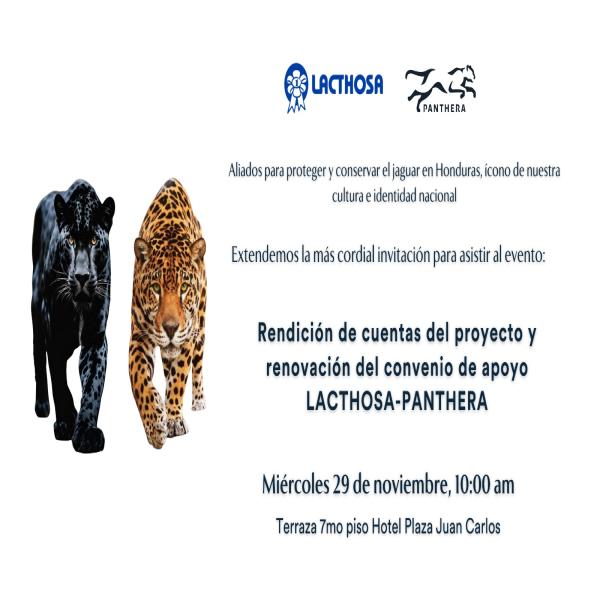 Rendición de Cuentas del proyecto y renovación de convenio de apoyo LACTHOSA-PANTHERA