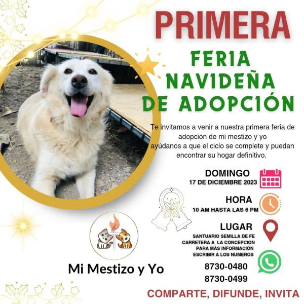 Primera Feria Navideña de Adopción