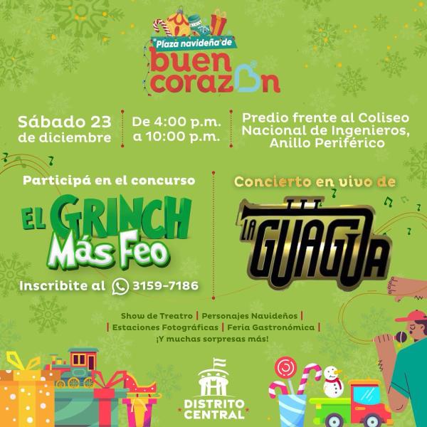 Concierto en vivo con el grupo La Guagua 