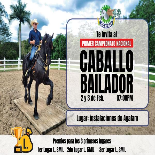 Primer concurso nacional del Caballo Bailador en la Feria AGAFAM 2024 