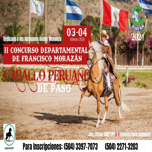 II concurso departamental del Francisco Morazán de Caballo Peruano de Paso en AGAFAM 2024 