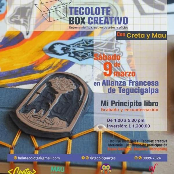 Tecolote Box Creativo 