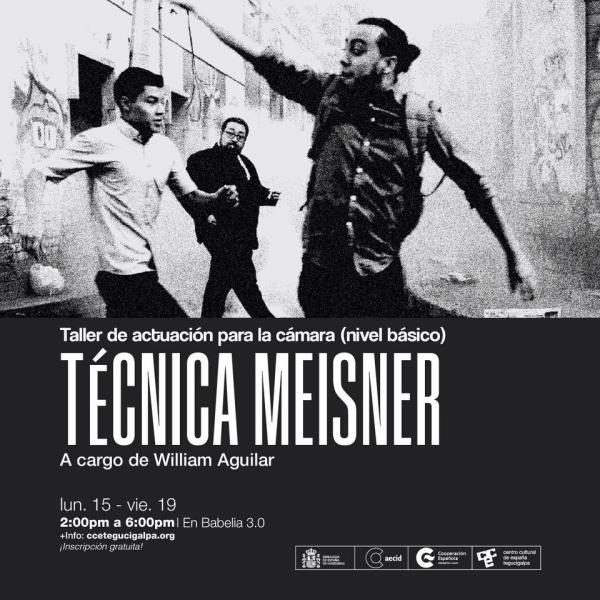 Taller de Actuación Para la Cámara: Técnica Meinser
