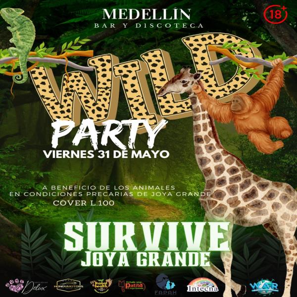 Wild Party a beneficio de Joya Grande 