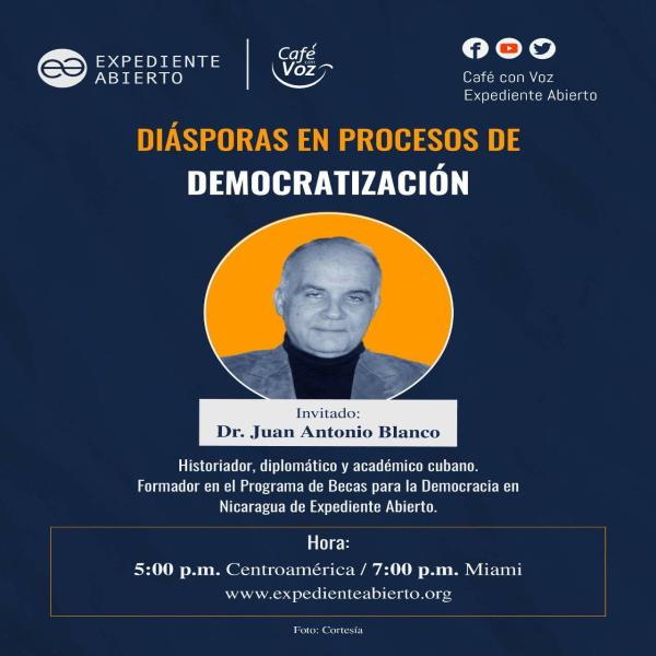 Diáspora y la democratización