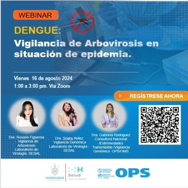 Seminario web Zoom: Dengue: Vigilancia de Arbovirosis en situación de epidemia 