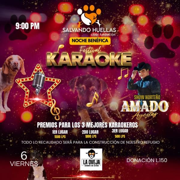 Festival benéfico - Karaoke 