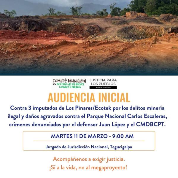 Audiencia inicial contra tres imputados de Los Pinares/Ecotek