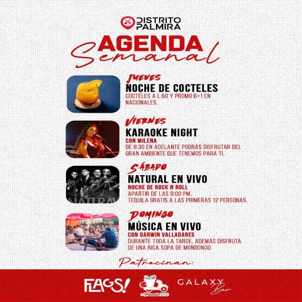 Agenda Semanal Distrito Palmira 