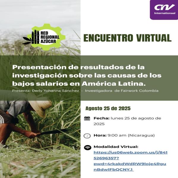 Presentación Investigación sobre las causas bajos salarios en América Latina