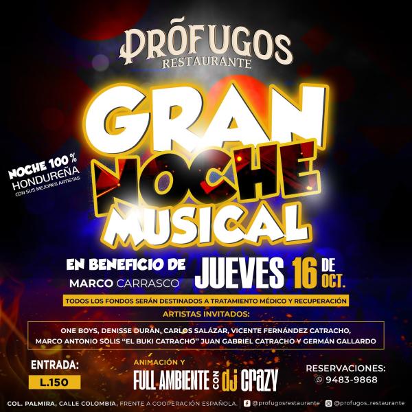 Gran noche musical de beneficencia 