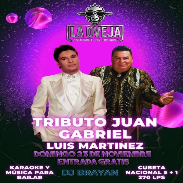 Tributo a Juan Gabriel por Luis Martínez 