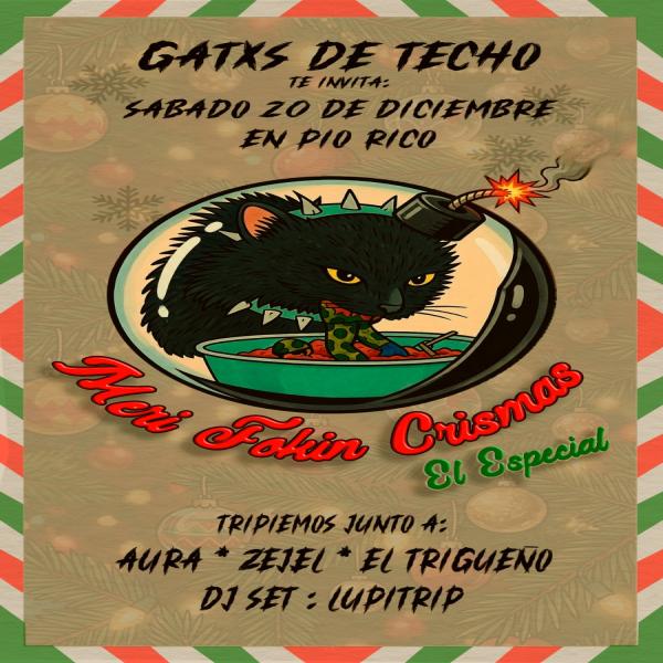 Concierto de Gatxs de Techo