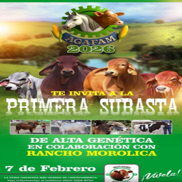 AGAFAM 2026: Primera subasta de alta genética 