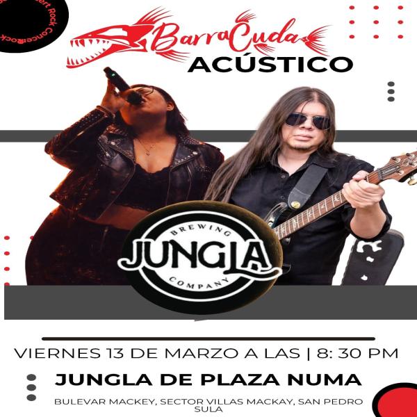 Barracuda Acústico en vivo 